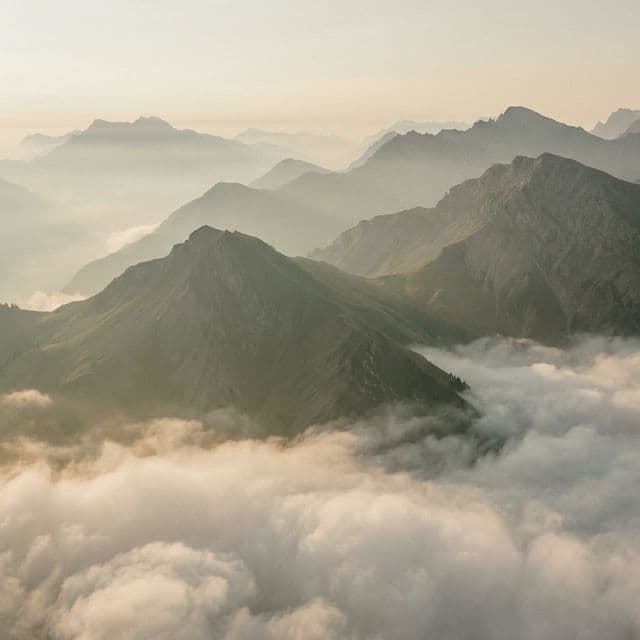 Nature inspired reasoning